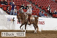 11buck_1023 thumbnail