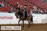 11buck_1029 thumbnail