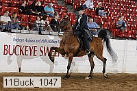 11buck_1047 thumbnail