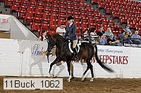 11buck_1062 thumbnail