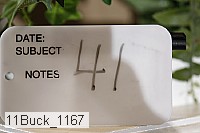 11buck_1167 thumbnail