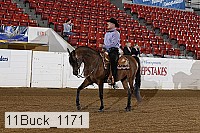 11buck_1171 thumbnail