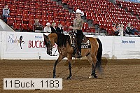 11buck_1183 thumbnail