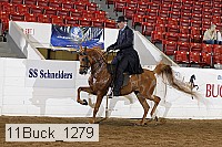 11buck_1279 thumbnail
