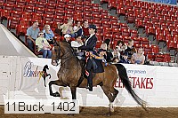 11buck_1402 thumbnail