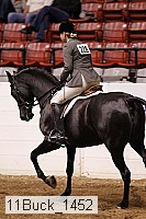 11buck_1452 thumbnail