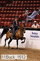 11buck_1512 thumbnail