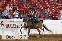 11buck_1517 thumbnail