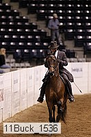 11buck_1536 thumbnail