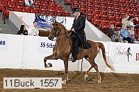 11buck_1557 thumbnail