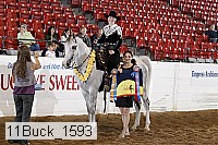 11buck_1593 thumbnail