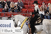 11buck_1602 thumbnail