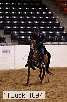 11buck_1697 thumbnail