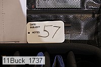 11buck_1737 thumbnail