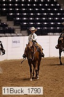 11buck_1790 thumbnail