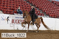 11buck_1822 thumbnail