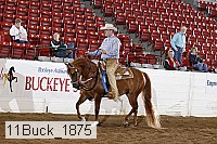 11buck_1875 thumbnail