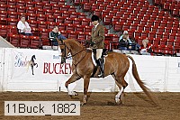 11buck_1882 thumbnail