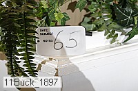 11buck_1897 thumbnail