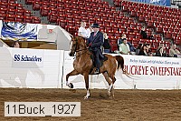 11buck_1927 thumbnail