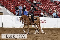 11buck_1959 thumbnail