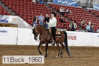 11buck_1960 thumbnail