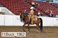 11buck_1962 thumbnail