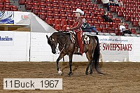 11buck_1967 thumbnail