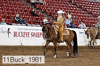 11buck_1981 thumbnail