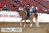 11buck_1993 thumbnail