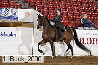 11buck_2000 thumbnail