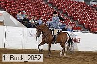 11buck_2052 thumbnail