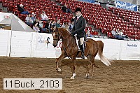 11buck_2103 thumbnail