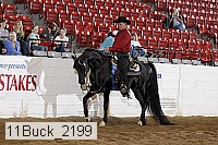 11buck_2199 thumbnail