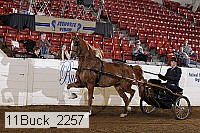 11buck_2257 thumbnail