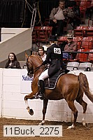 11buck_2275 thumbnail
