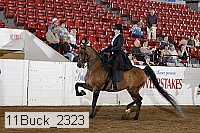 11buck_2323 thumbnail