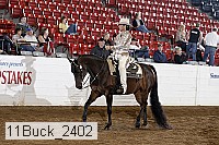 11buck_2402 thumbnail