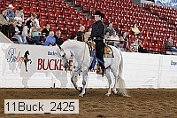 11buck_2425 thumbnail