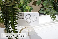 11buck_2429 thumbnail