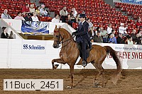 11buck_2451 thumbnail