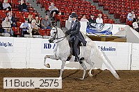 11buck_2575 thumbnail