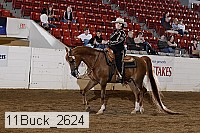 11buck_2624 thumbnail