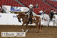 11buck_2627 thumbnail