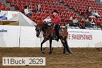 11buck_2629 thumbnail