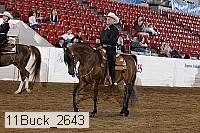 11buck_2643 thumbnail