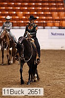 11buck_2651 thumbnail