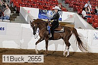 11buck_2655 thumbnail