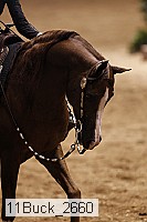 11buck_2660 thumbnail