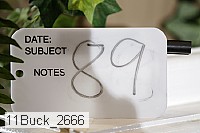 11buck_2666 thumbnail